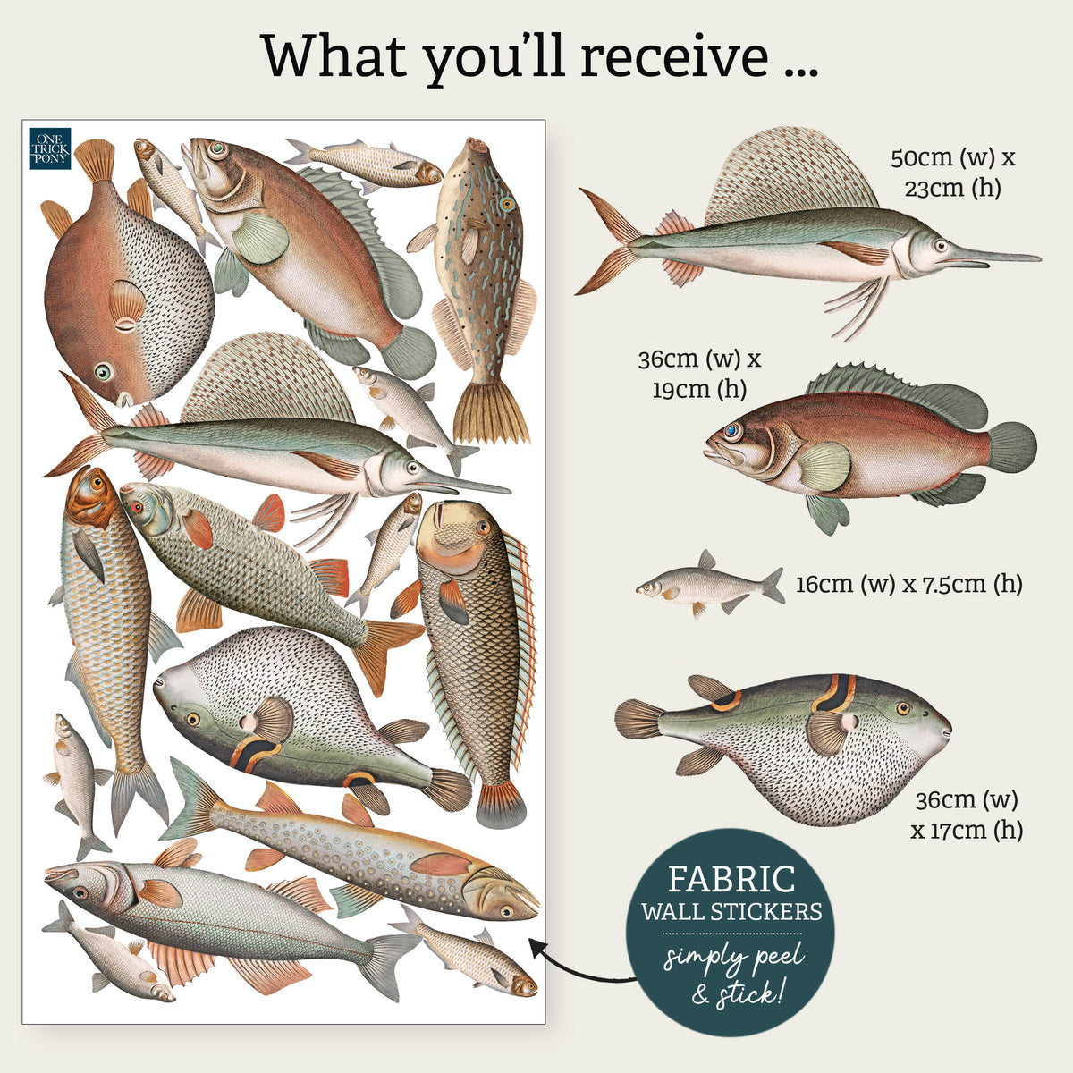 Vintage Fish Illustration Wall Stickers